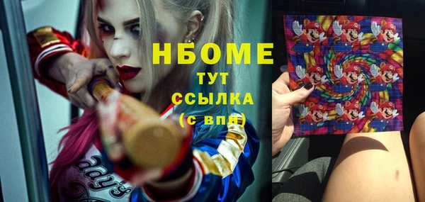ГАЛЛЮЦИНОГЕННЫЕ ГРИБЫ Аркадак