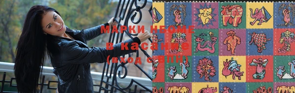 прущие грибы Алексин
